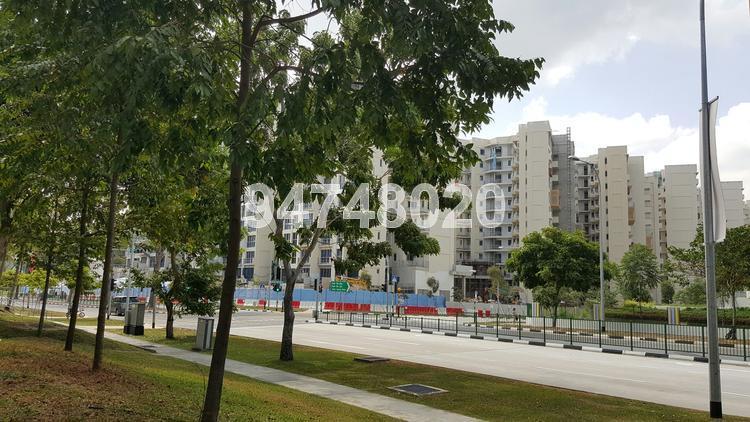 Blk 479 Pasir Ris Drive 4 (Pasir Ris), HDB 4 Rooms #113784852